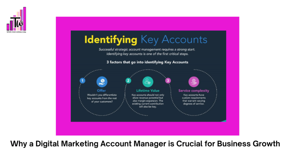 what does a digital marketing account manager do